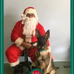 Meet your Posher, Kandi